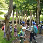 IMG_20250617_114001