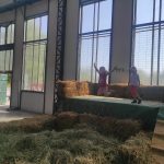 IMG_20250905_102901