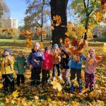 IMG_20251029_101428_1