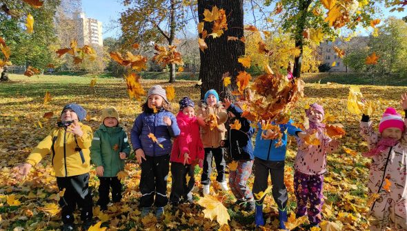 IMG_20251029_101428_1 IMG_20251029_101428_1