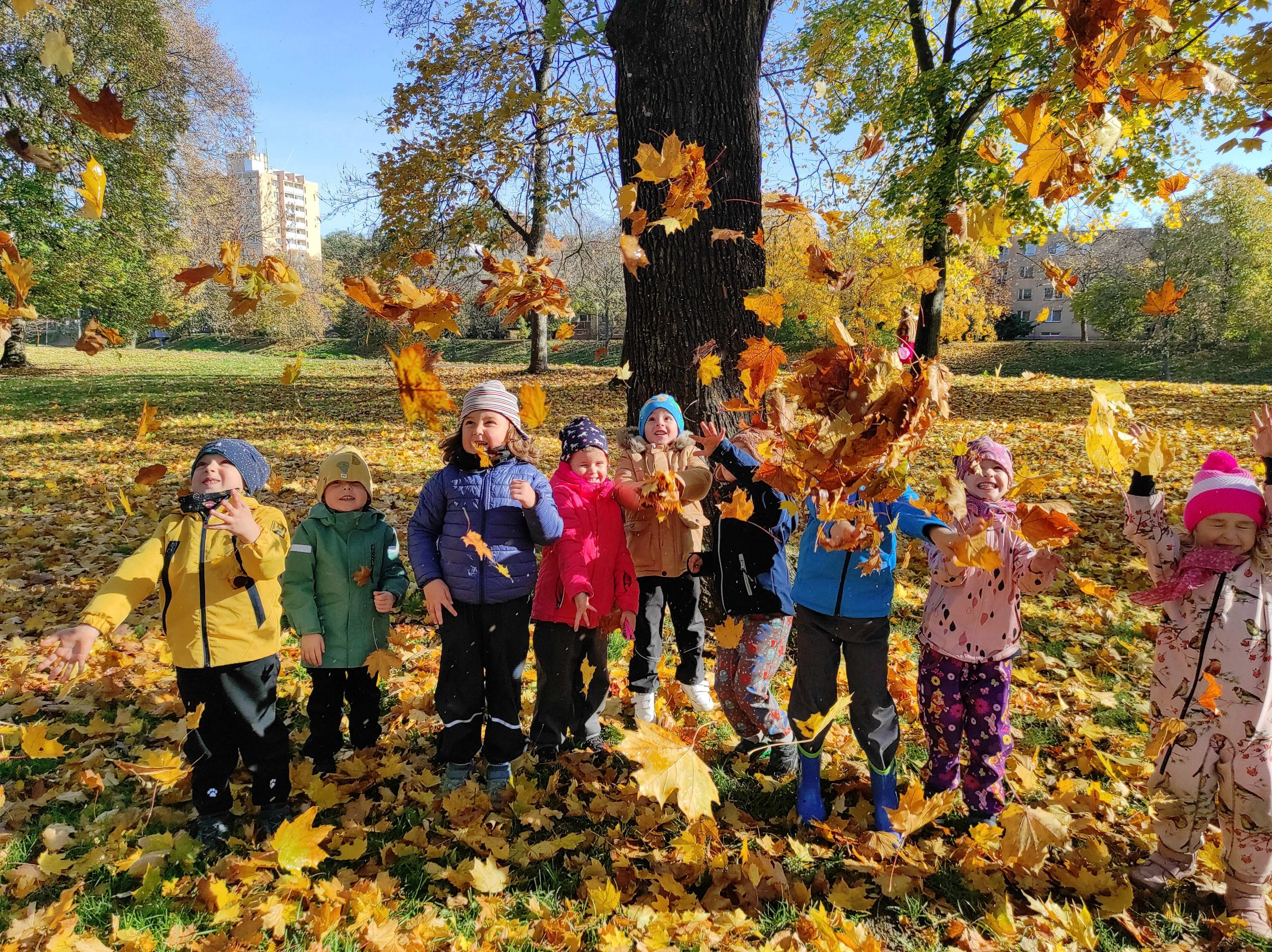 IMG_20251029_101428_1 IMG_20251029_101428_1