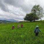 IMG_20260512_114017