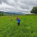 IMG_20260512_114146