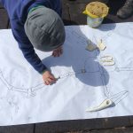 IMG_20260514_110914