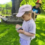 IMG_20260527_103534